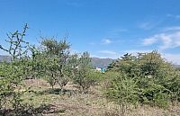 Terreno en Venta en Barrio Del Lago, Potrero de Garay 