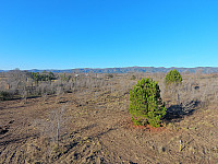 Terrenos en venta con financiación a 5 minutos caminando del río Los Reartes 